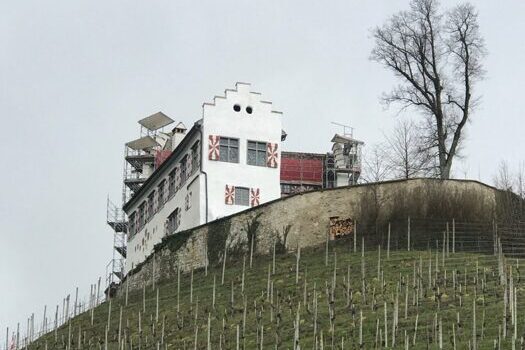 Fassadensanierung Schloss Schwandegg